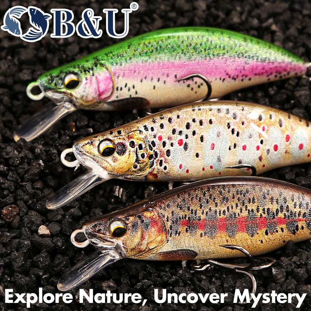 B&U Trout Pattern Hard Bait Si - Fishing Hook Assortment reseña y precio